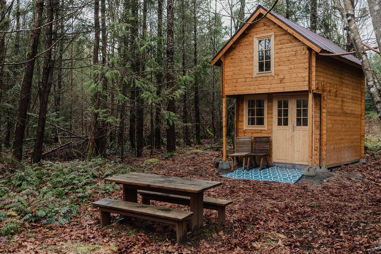 The Rhosgobel Roost cabin among the trees