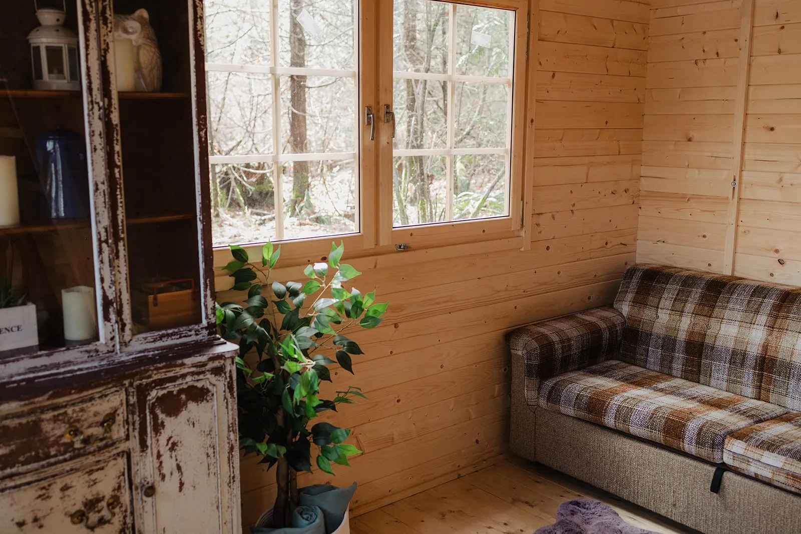 Inside the Rhosgobel Roost