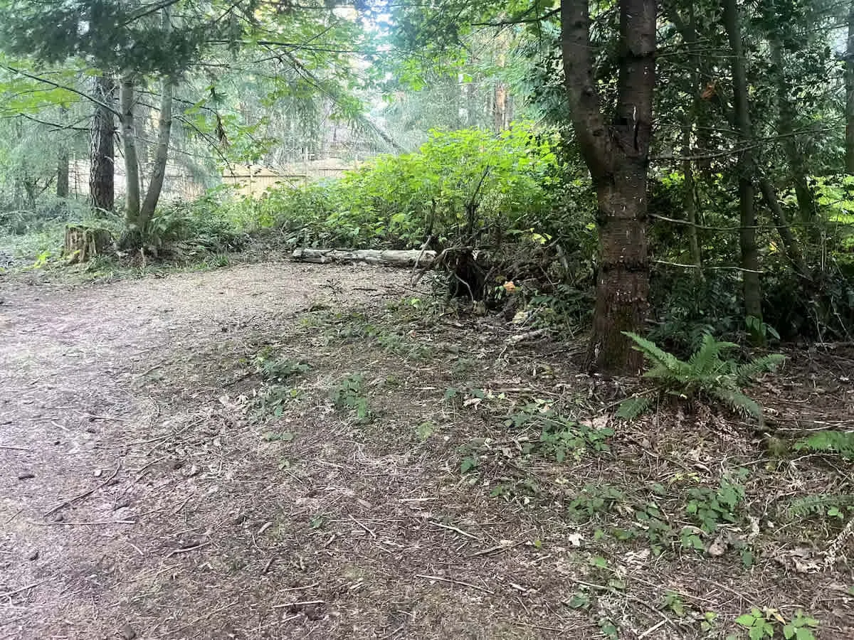 The glamping tent among the trees